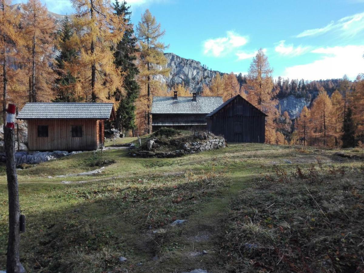 Ferienwohnung Wohlfahrter Bad Mitterndorf Eksteriør billede